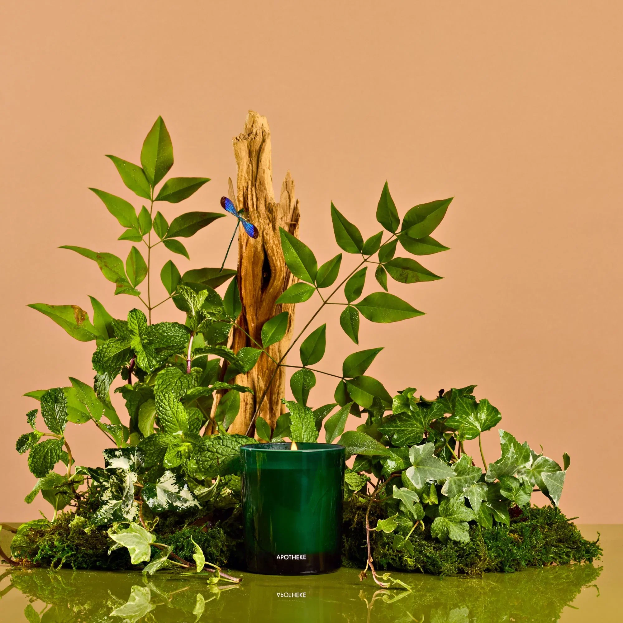 Apotheke Wild Mint Ivy Petite Candle – 5oz - Image 2