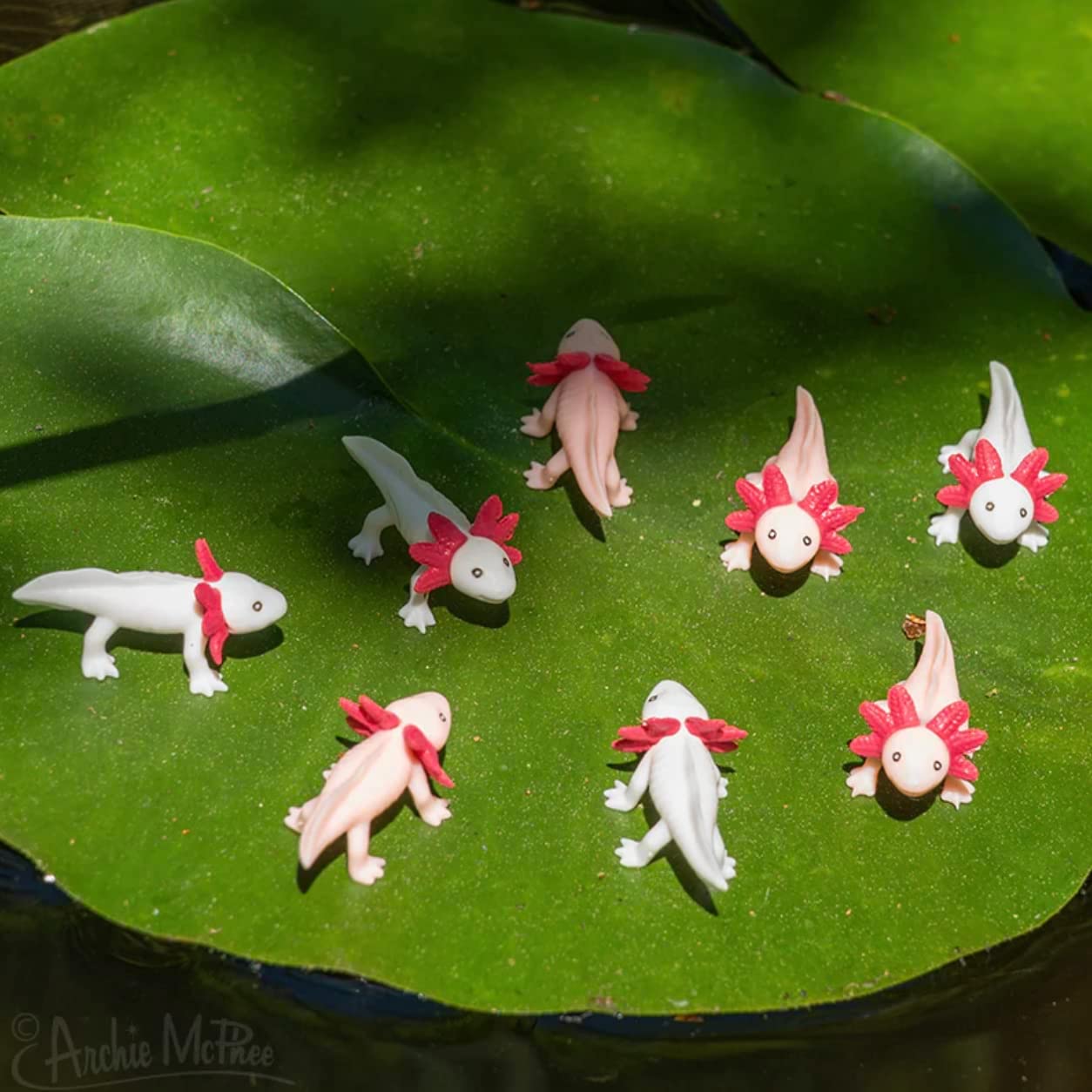 Archie McPhee Itty Bitty Axolotls – Pack of 8 - Image 2