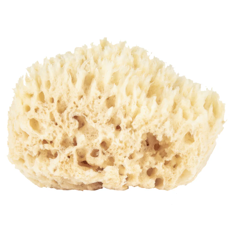 Baudelaire Wool Bath Sponge –  4.5 inch - Image 2