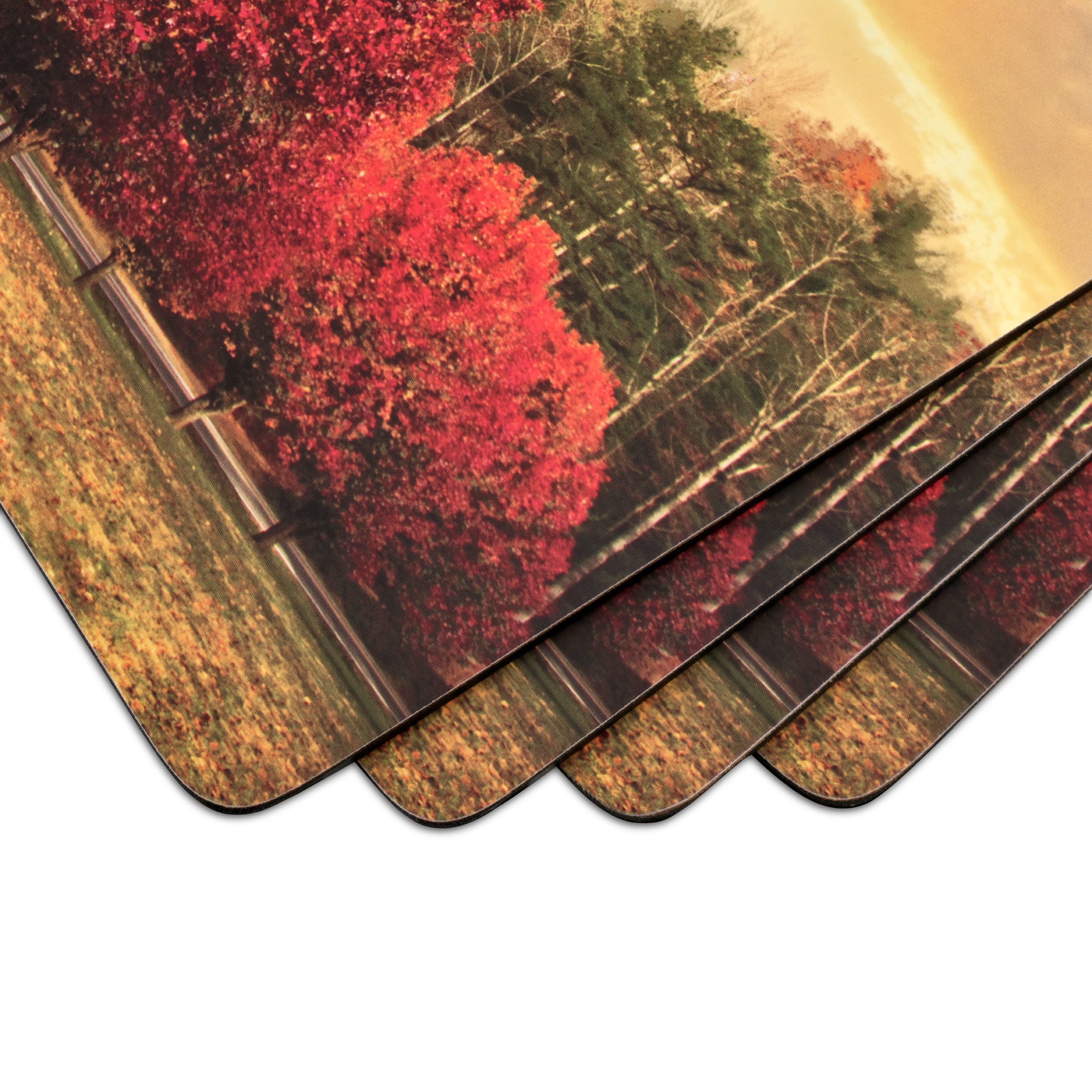 Crimson Trees Cork Bottom Hard Placemats – Set of 4 - Image 3