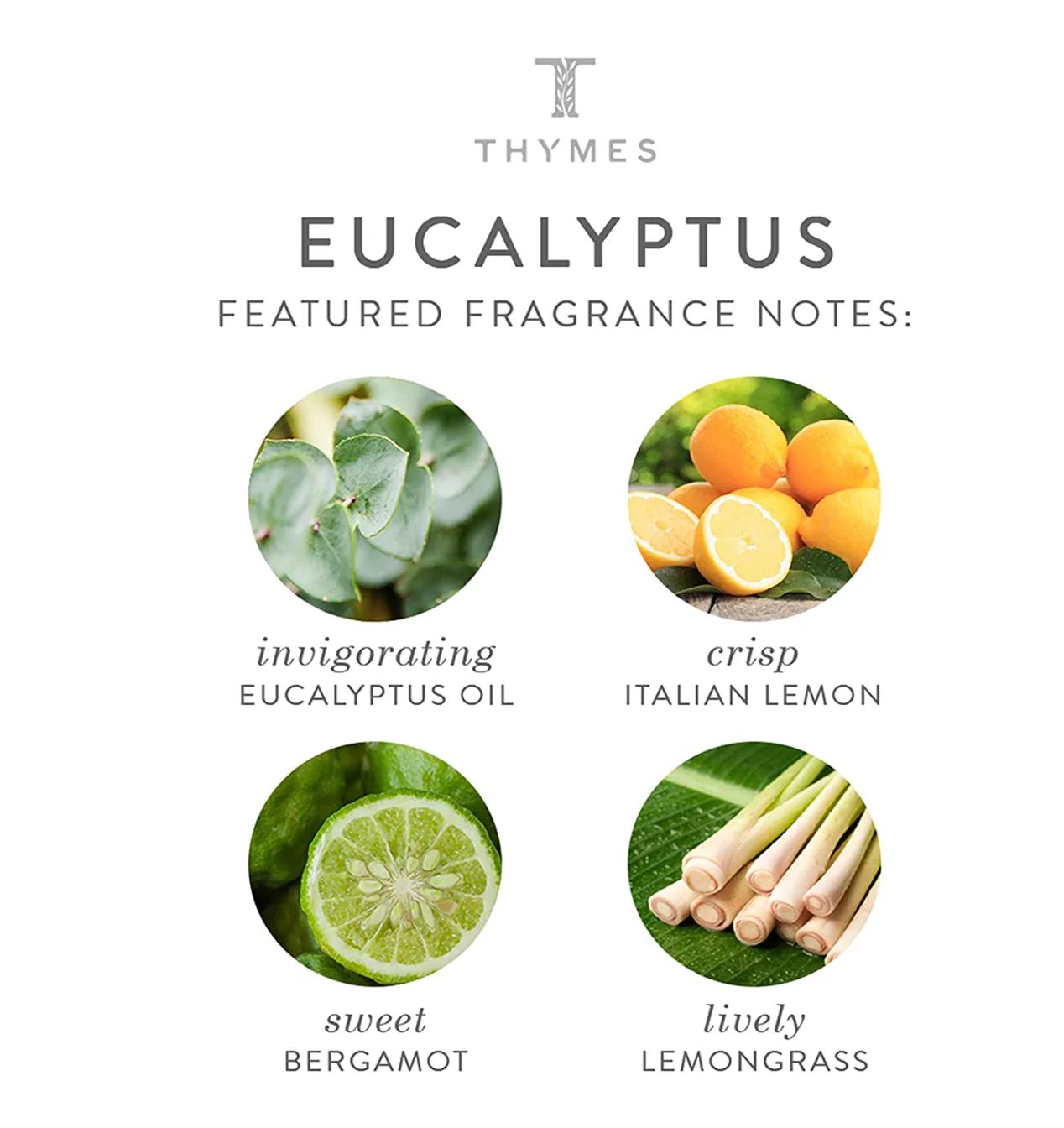 Eucalyptus Hand Wash – 8.25oz - Image 2