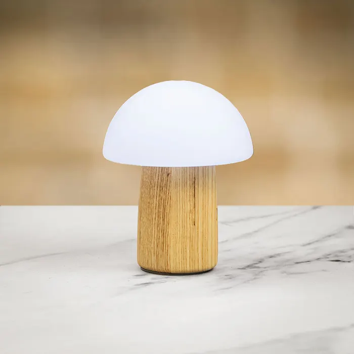 Gingko Design Mini Alice Color Changing Mushroom Lamp - Ash - Image 3