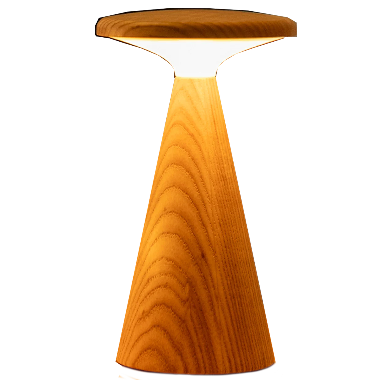 Gingko Large Sylva Table Lamp – Ash