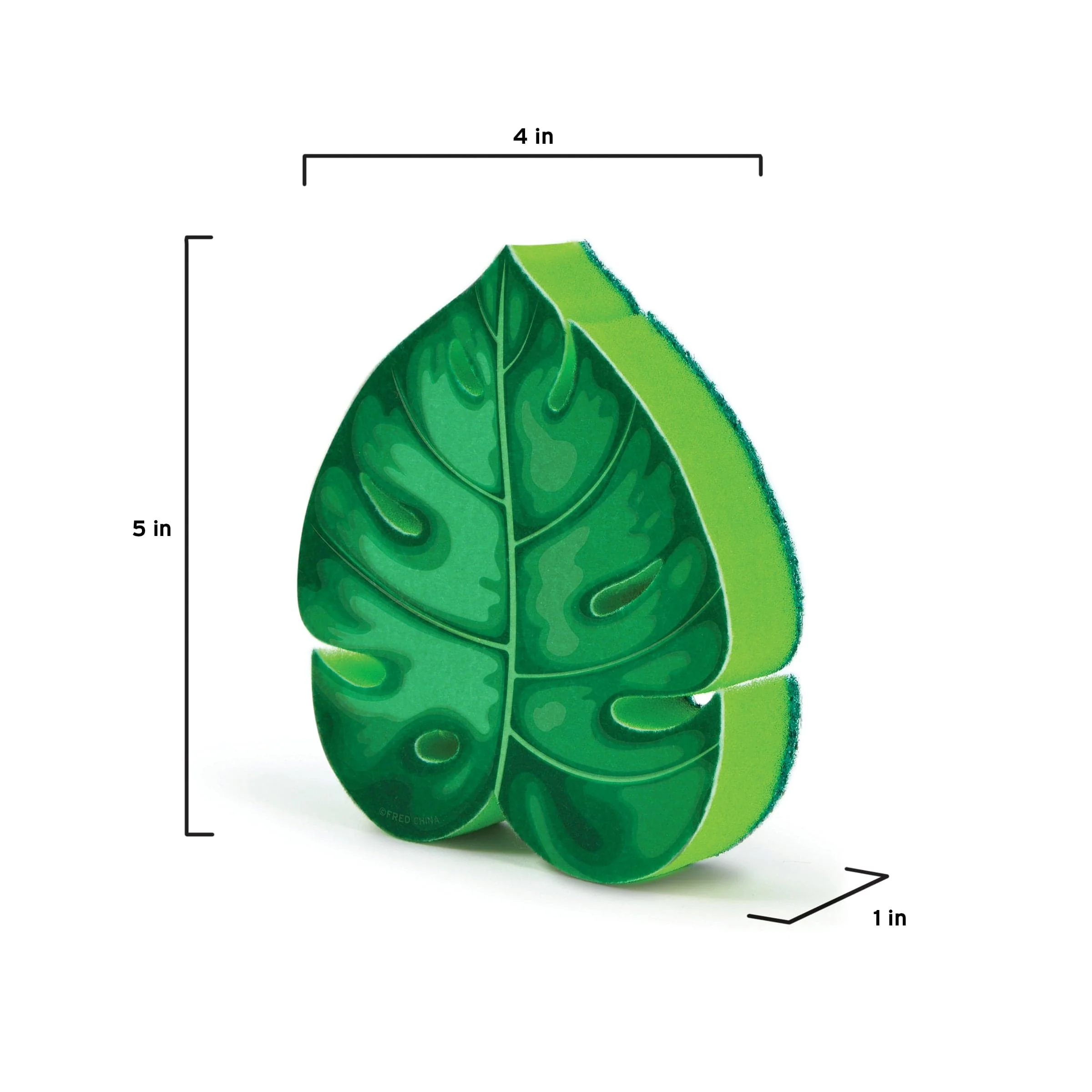 House Plant Sponge - Image 2