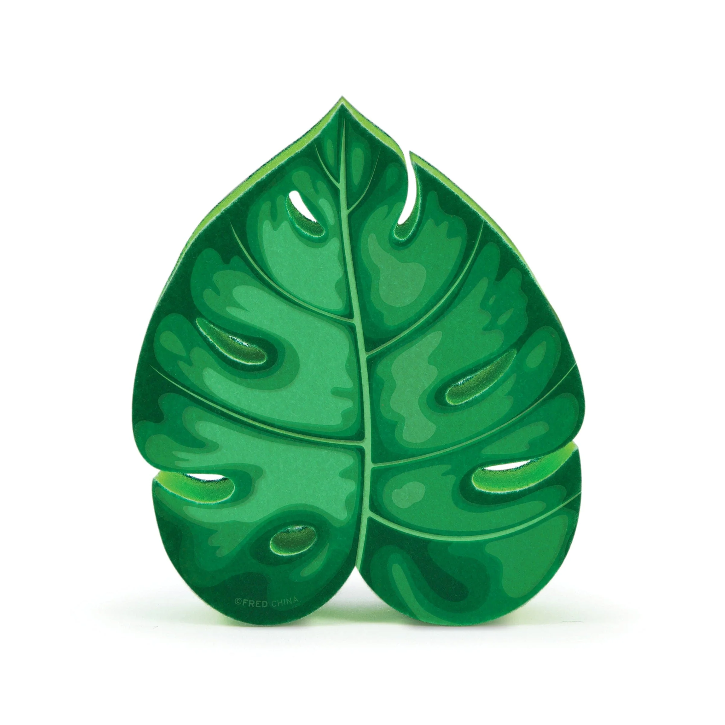 House Plant Sponge - Image 4