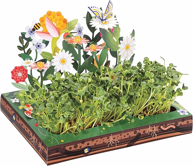 Modern Sprout Interactive Microgreens Garden Kit for Kids – Pollinator Habitat - Image 2