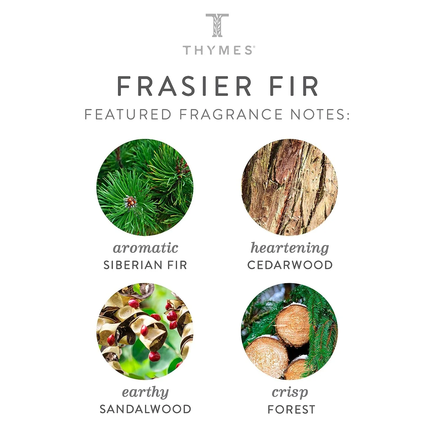 Thymes Frasier Fir Glass Vessel Hand Wash – 15oz - Image 2
